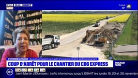 CDG Express: pour Corinne Lepage, "l'État doit trouver un autre tracé ou abandonner cette ligne" 