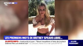 Britney Spears s'exprime pour la première fois depuis la levée de sa tutelle