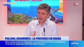 "On se sensibilise": les conséquences de la hausse de la présence des pollens 