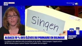 L'alsacien enseigné à l'école publique à la rentrée prochaine