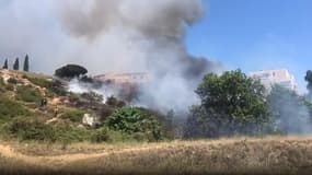 Un cabanon a pris feu ce dimanche après-midi vers 15 heures dans le quartier de la Viste, dans le 15e arrondissement de Marseille.