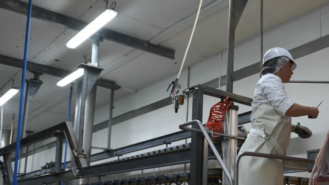 L'abattoir de Surgères (Charente-maritime) le 20 juin 2016. Photo d'illustration)