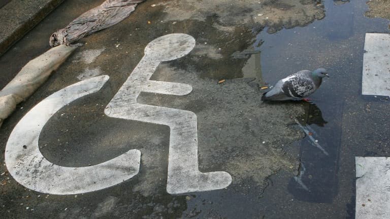 Un pigeon dans l'eau d'un caniveau, en avril 2007 à Paris (Photo d'illustration)