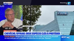 Planète Locale du mercredi 6 novembre - Mission nature : la chevêche à protéger