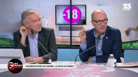 La GG du jour: La pornographie est-elle la cause des violences faites aux femmes ? - 27/11