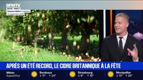 Le break du mercredi 1er octobre