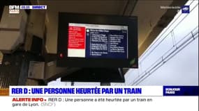 RER D: une personne heurtée par un train, le trafic perturbé