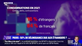 Paris : 50% de délinquance due aux étrangers ? - 05/11
