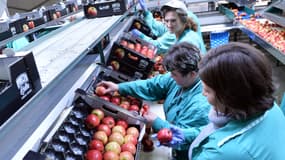 Dans une usine de conditionnement de cageots de pommes, en Pologne (Photo d'illustration)