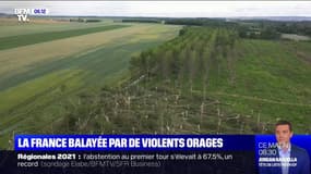 Les images des dégâts après le passage d'orages violents dans plusieurs départements