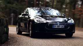 Une vidéo réalisée par une agence alsacienne fait la promotion de la région pour convaincre Elon Musk d'y implanter une usine Tesla.