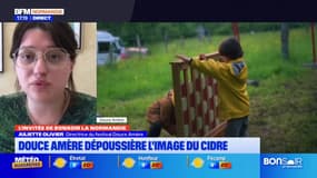 Orne: le festival Douce Amère, qui allie musique et cidre, revient pour une quatrième édition