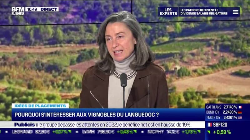 Idée de placements: Pourquoi s'intéresser aux vignobles du Languedoc ? - 02/02