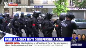 Paris: la police tente de disperser la manifestation pro-palestinienne interdite