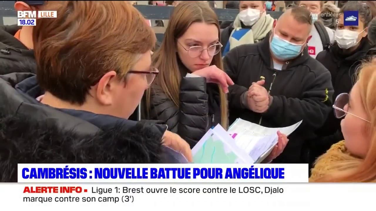 Nord: une nouvelle battue menée pour tenter de retrouver une mère de famille disparue Nord: une nouvelle battue menée pour tenter de retrouver une mère de famille disparue