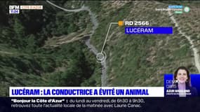 Accident de bus à Lucéram: la conductrice a fait une sortie de route en évitant un animal