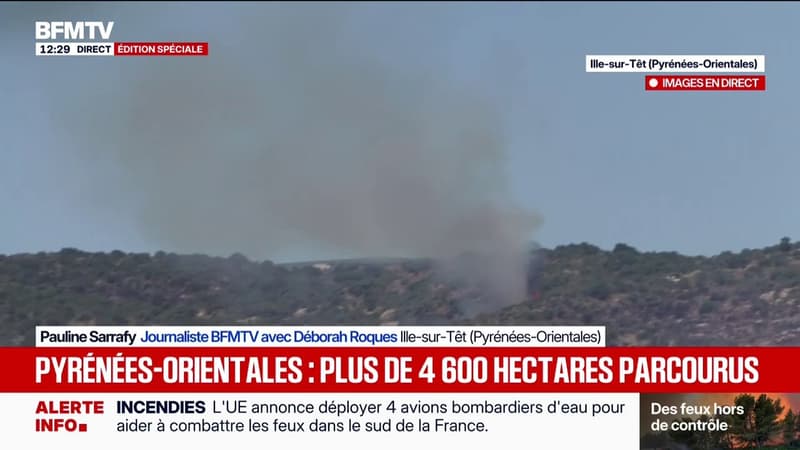 Incendies dans les Pyrénées-Orientales: des reprises de feu toujours visibles