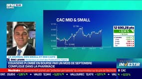 Les marchés et vous : Le point sur les Mid & Small - 14/11