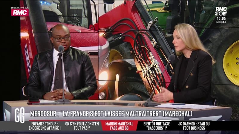 "Toujours la même histoire": Marion Maréchal dénonce l'entrée de produits dangereux en Europe