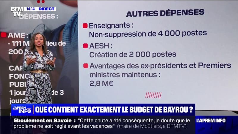 LES ÉCLAIREURS - Que contient exactement le budget de François Bayrou ?