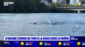 Lyon: plus de 400 nageurs ont participé à l'Open Swim Stars