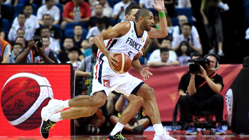 Nicolas Batum nouveau propriétaire de chevaux de Galop