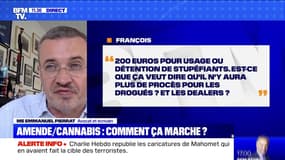 BFMTV répond à vos questions: Amende/Cannabis, comment ça marche ? - 01/09