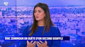 Eric Zemmour en quête d'un second souffle - 08/01