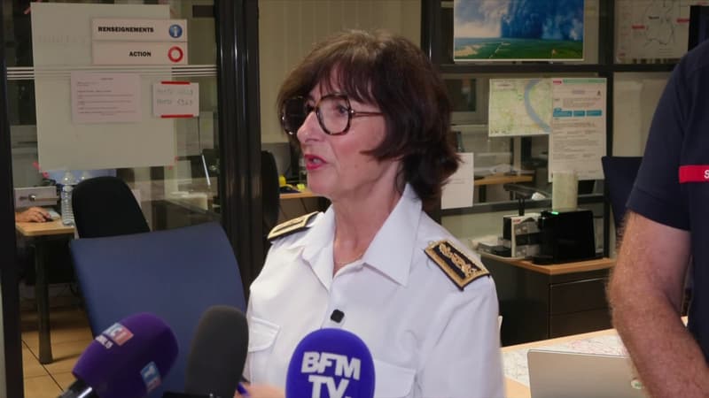 DIRECT. Incendies en France: l'incendie en Gironde "n'a pas progressé" malgré sept reprises de feu