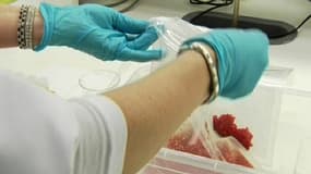 Analyse de viande dans un laboratoire.