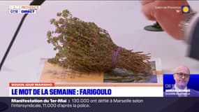 Bouon Jour Marsiho: "farigoulo", le mot de la semaine