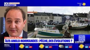 Îles anglo-normandes: la situation "apaisée" autour des autorisations pour les pêcheurs normands