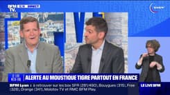 Alerte au moustique tigre partout en France - 06/07