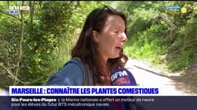 Passions Provence : Marseille, connaitre les plantes cosmétiques