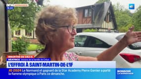 Saint-Martin-de-l'If: hommages et cagnotte après le meurtre de Célya