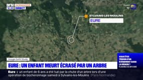 Eure: un enfant meurt écrasé par un arbre à Sylvains-les-Moulins