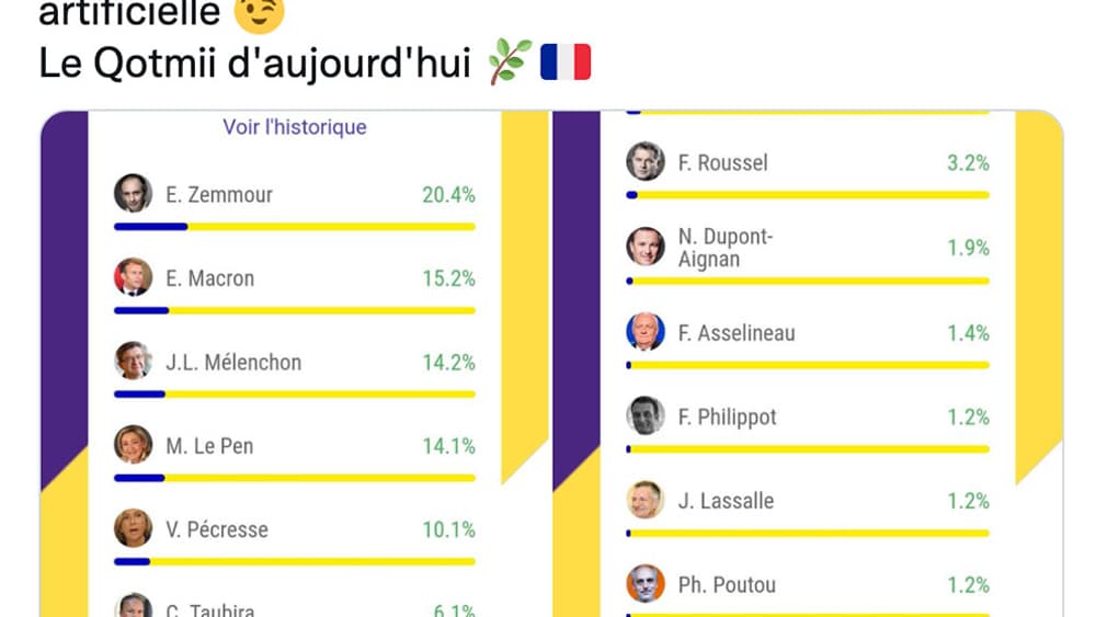 Capture d'écran d'un compte Twitter militant pour Eric Zemmour, en 2022 Capture d'écran d'un compte Twitter militant pour Eric Zemmour, en 2022