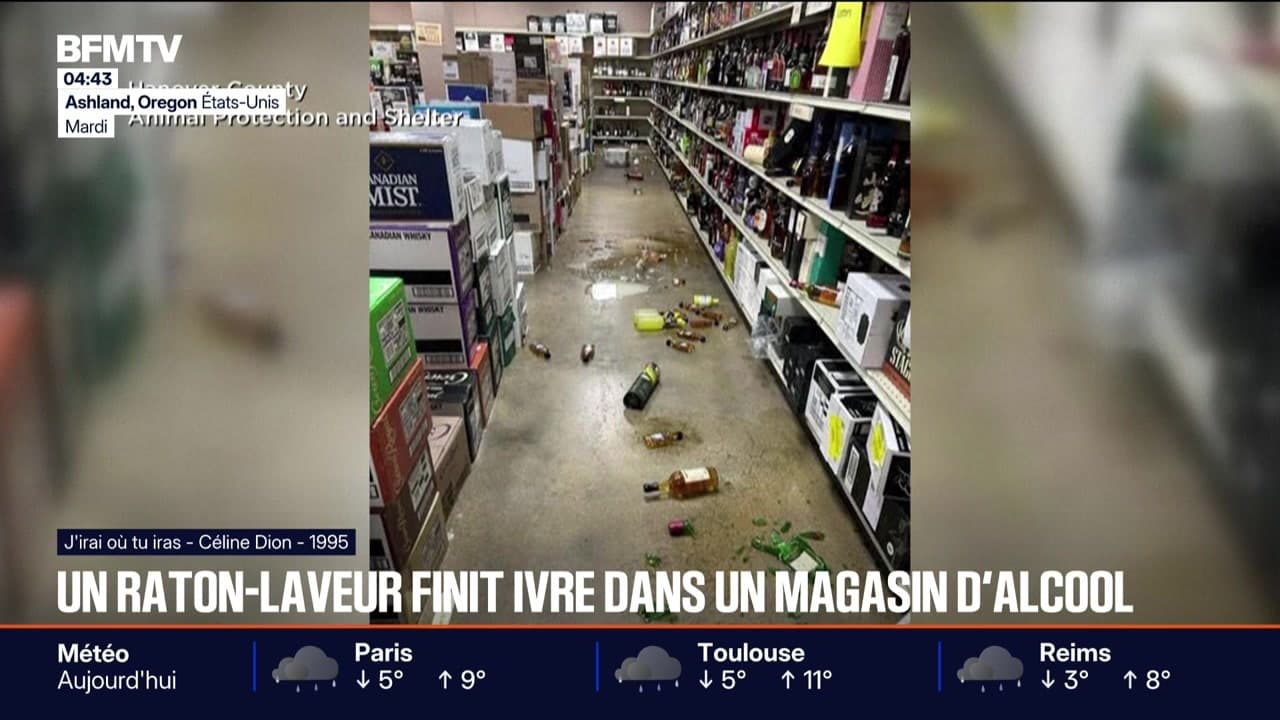 Capture de la rubrique sportive Le break du 4 décembre 2025