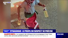 Synagogue attaquée à La Grande-Motte: le profil du principal suspect interpellé