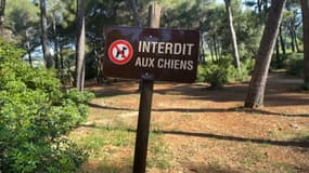 Un panneau "interdit aux chiens" au parc du Colombet à Sanary-sur-Mer.