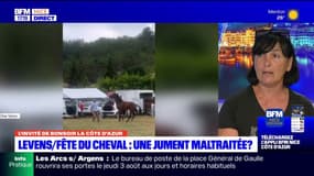 Fête du cheval à Levens: une jument maltraitée?