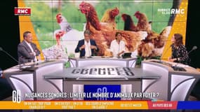 Contre les nuisances sonores, une maire de Meurthe-et-Moselle limite le nombre d'animaux par foyer