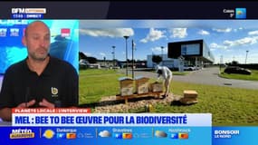 Planète Locale du mercredi 20 novembre - MEL : les ruches d'entreprise de Bee To Bee