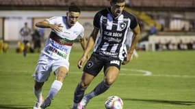 Luis Henrique