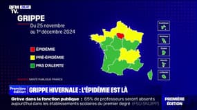 Grippe: l'Île-de-France est la première région à passer en alerte rouge
