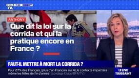 Que dit la loi sur la corrida et qui la pratique encore en France ? BFMTV répond à vos questions