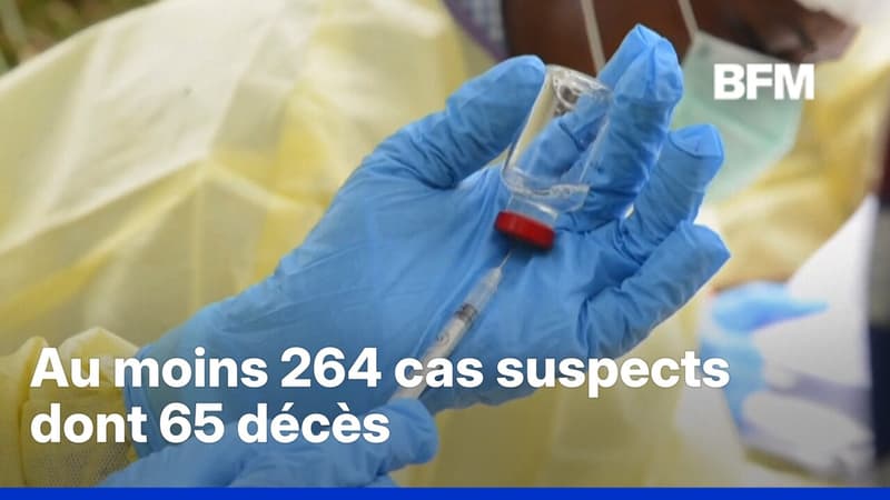 Les autorités sanitaires annoncent une nouvelle épidémie d'Ebola en République démocratique du Congo