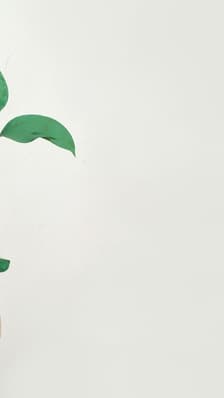  RSE : la fin des bonnes intentions ? 