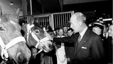 Valéry Giscard d’Estaing au Salon de l’agriculture 3 mars 1975