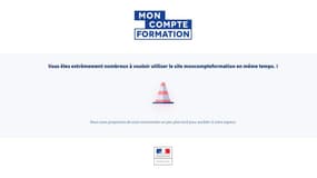 Fin du transfert du DIF: le site officiel saturé, le gouvernement promet de la "souplesse"&nbsp;